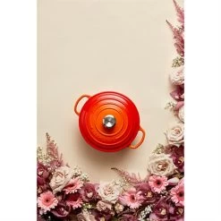 Le Creuset Cocotte Fonte Rond 20 Cm Volcanique 10 Le Creuset Cocotte Fonte Rond 20 Cm Volcanique -Magasin De Fournitures De Cuisine À Domicile 213212 3 2 Cocotte fonte rond 20 cm volcanique Le Creuset